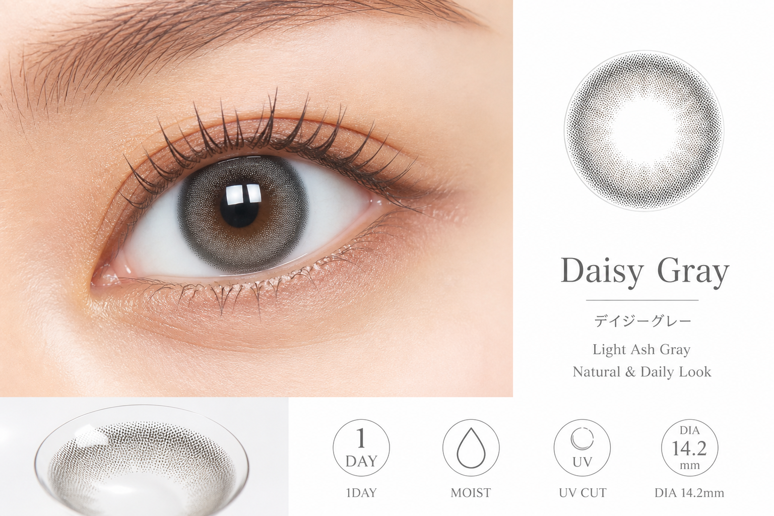 Daisy Gray